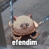 Demon slayer meme1 15