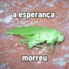a esperança morreu