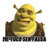 ME TOCÓ SER FALSA