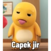 Capek jir