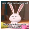 Malu malu kucing 18