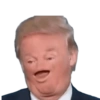 Trump  17