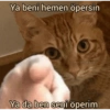 Ayşe hanımın stickerları 23
