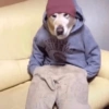 MÓ FRIO 🧣🧤🧦 6