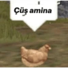 Haha 15