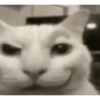 Cat Meme 8