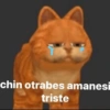 chin otrabes amanesi triste
