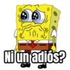 Ni un adios?