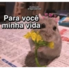 Pra mandar pro crush 💖 13