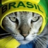 BRASI
