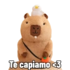 Capibara capibara capibara 7