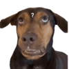 Memes 30 18