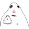 Hamster 3 15