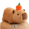 Capibara capibara capibara 2