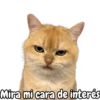 Mira mi cara de interés
