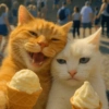 🧿Gatitos Gatos Miau🐱🐈 27