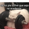 Memes de academia 💪 8