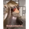 Memes 73 30