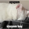 Biyu 5