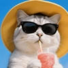 🧿Gatitos Gatos Miau🐱🐈 17