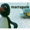 PINGU 14