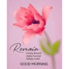 Good morning 9