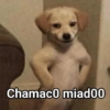 Memes 73 21