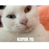 Biyu 15