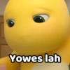 Nailong Jawa Dino Kuning Jawa 8