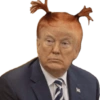Trump  7