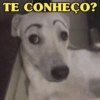 VAI UMA PATADA AÍ? 😝 9