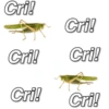 Cri! Cri! Cri! Cri! Cri! Cri!