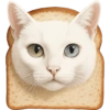 ✨️ Modo Gato 🐈🐱🐈‍⬛ 11