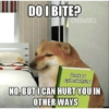 Doggo 21