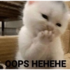 Catscatacats9 15