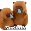 Capibara capibara capibara 11