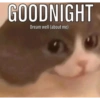 Catscatacats9 26