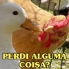 SÓ VIM TE PERTURBAR 😋 5