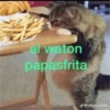 Gatos Raros😼🎩 14