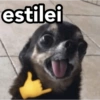estilei