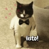 listo!