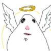 🐹 Hamster Tiktok 4📱 5