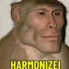 Macaco / monkey 2