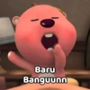 Baru Banguunn