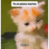 😂En Mo2 Memes🤣 14