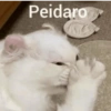Aleatórios 3 29
