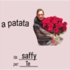 Mollami sempre saffy sono 11