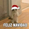 FELIZ NAVIDAD