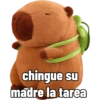 Capibara capibara capibara 9