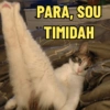 PARA, SOU TIMIDAH